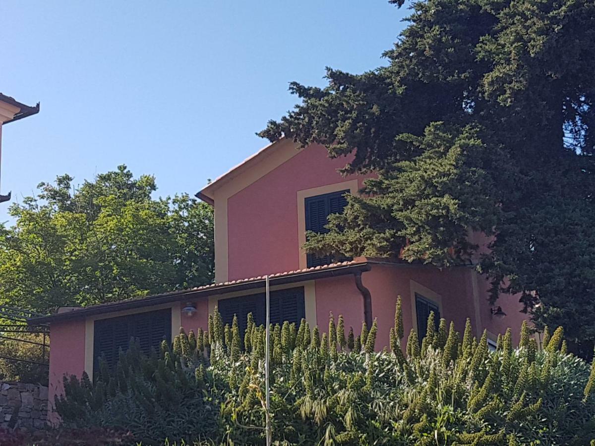 Villa Caterina Imperia Exterior foto